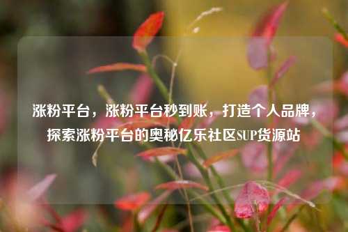 涨粉平台	，涨粉平台秒到账，打造个人品牌，探索涨粉平台的奥秘亿乐社区SUP货源站  第1张
