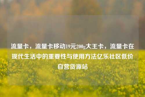 流量卡，流量卡移动19元200g大王卡	，流量卡在现代生活中的重要性与使用方法亿乐社区低价自营货源站  第1张