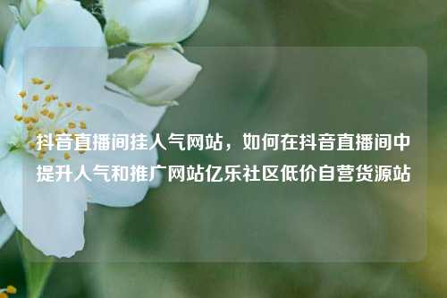 抖音直播间挂人气网站，如何在抖音直播间中提升人气和推广网站亿乐社区低价自营货源站  第1张