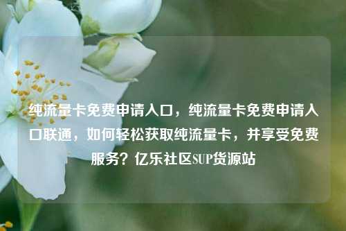 纯流量卡免费申请入口，纯流量卡免费申请入口联通，如何轻松获取纯流量卡，并享受免费服务？亿乐社区SUP货源站  第1张